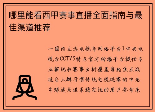 哪里能看西甲赛事直播全面指南与最佳渠道推荐